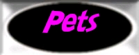 pets page